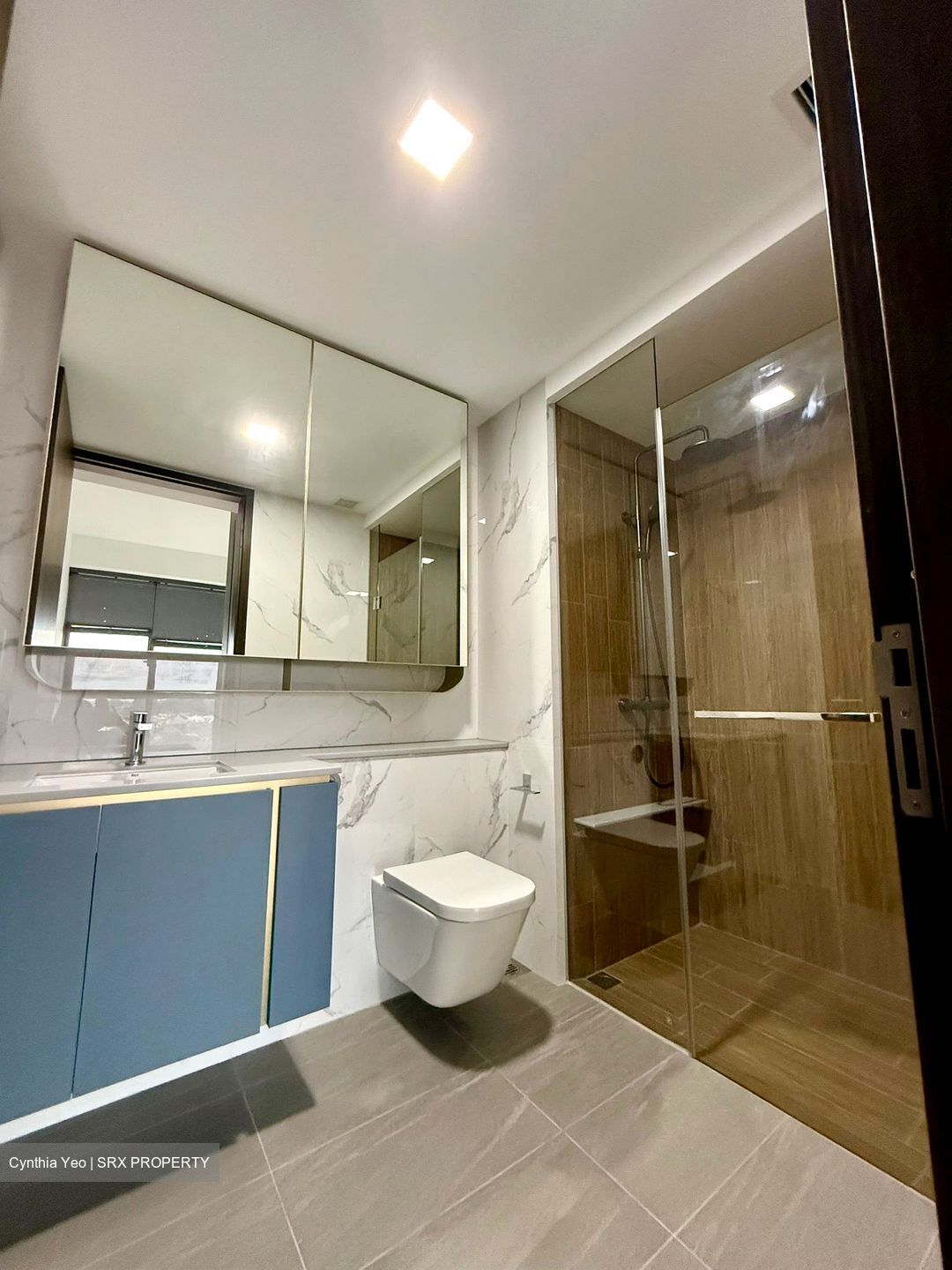 Amo Residence (D20), Apartment #553201381